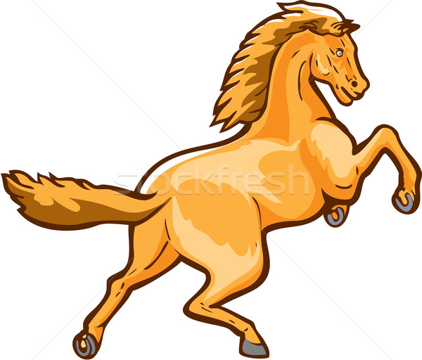 Colt Horse Prancing Rear Isolated Retro Stock photo © patrimonio