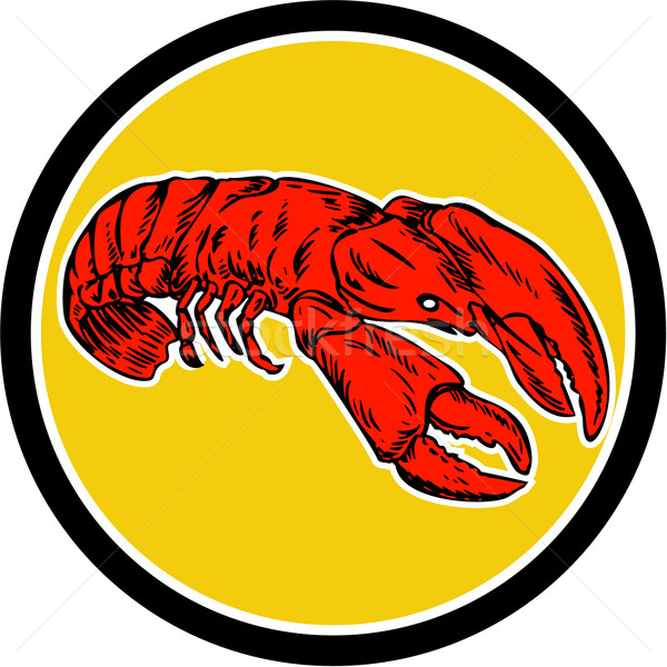 Czerwony homara kółko retro ilustracja zestaw Zdjęcia stock © patrimonio