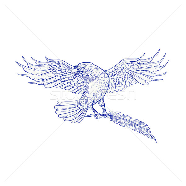 Cuervo dibujo boceto estilo ilustración Foto stock © patrimonio