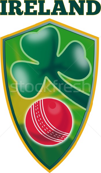 Foto stock: Cricket · pelota · trébol · Irlanda · escudo · ilustración