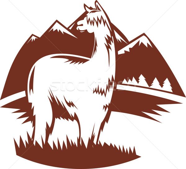 suri alpaca with mountains Stock photo © patrimonio