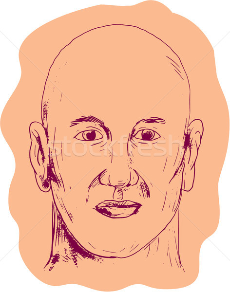 Bald Caucasian Male Head Drawing Stock photo © patrimonio