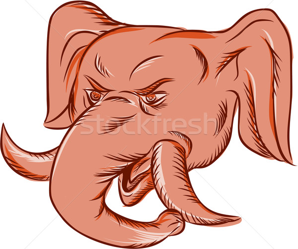 Republican Elephant Mascot Head Etching Stock photo © patrimonio