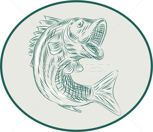Stock photo: Largemouth Bass Fish Oval Etching