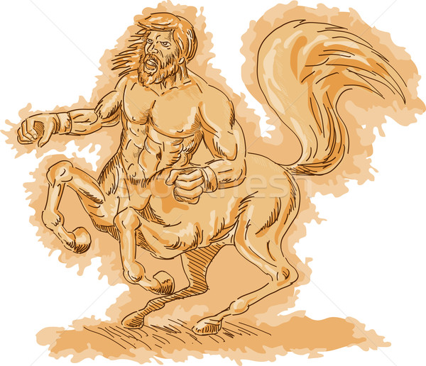 Centaur angry and rearing up Stock photo © patrimonio