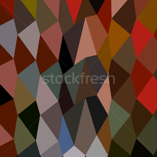 Stock photo: Burnt Umber Abstract Low Polygon Background