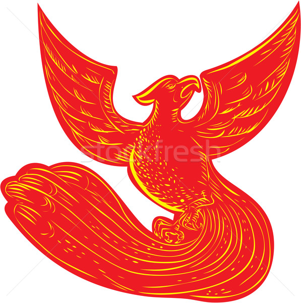 Phoenix feito à mão estilo ilustração Foto stock © patrimonio