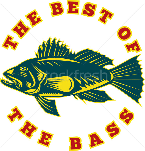Sea Bass the best of bass Stock photo © patrimonio