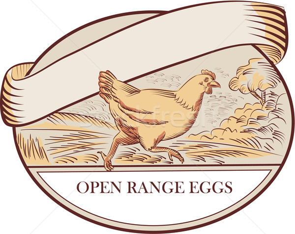 Hen Running Open Range Eggs Oval Drawing Stock photo © patrimonio