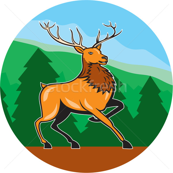 Red Stag Deer Side Marching Circle Cartoon Stock photo © patrimonio