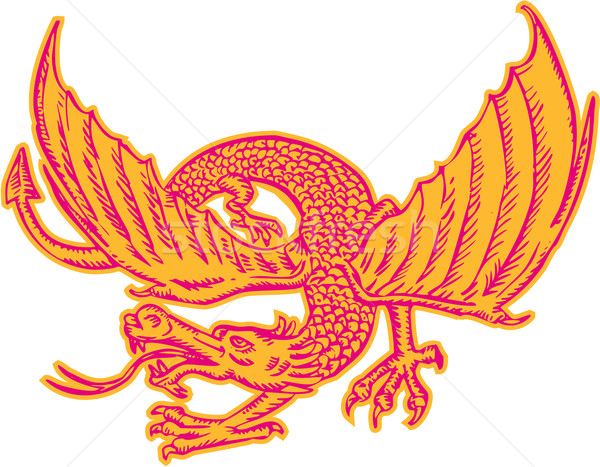 Dragon Medieval Front Etching Stock photo © patrimonio