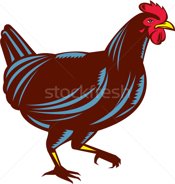 Stock photo: Chicken Hen Walking Side Woodcut