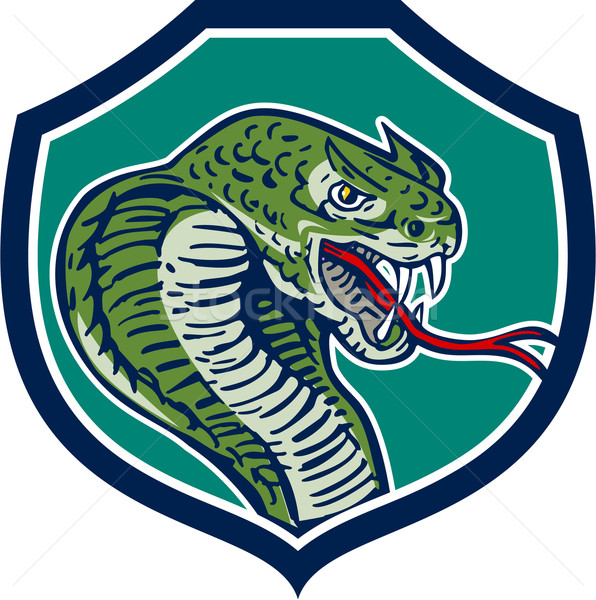 Kobra węża tarcza retro ilustracja wąż Zdjęcia stock © patrimonio