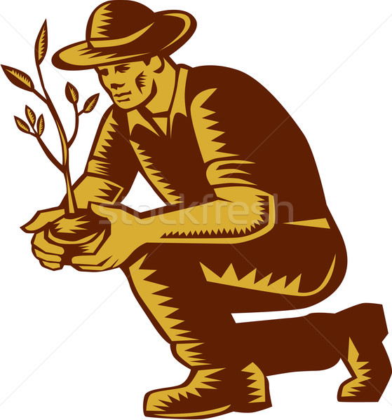 Organic Farmer Planting Tree Woodcut Linocut Stock photo © patrimonio