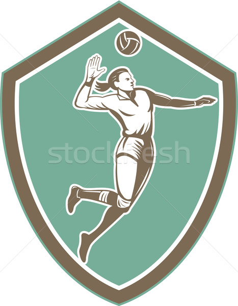 Voleibol jogador bola escudo retro ilustração Foto stock © patrimonio