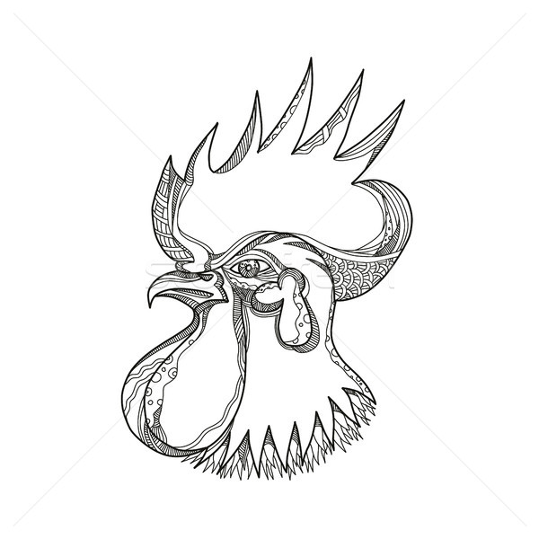 Junglefowl Head Doodle Art Stock photo © patrimonio