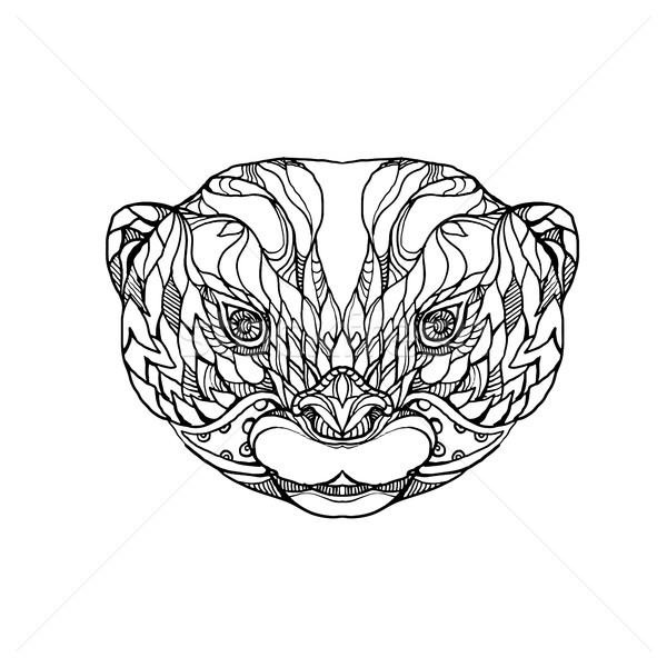 Oriental Small-clawed Otter Doodle Art Stock photo © patrimonio