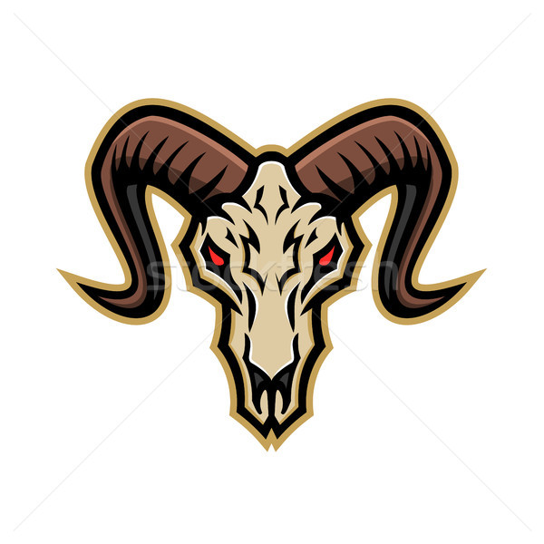 Bighorn Sheep Skull Mascot Stock photo © patrimonio