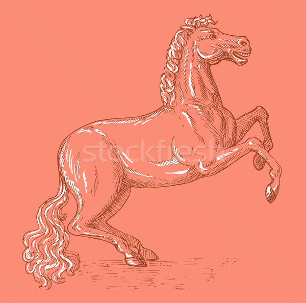Horse sketch drawing prancing Stock photo © patrimonio