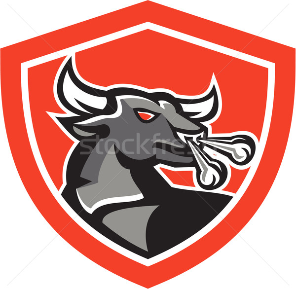 Angry Bull Head Shield Retro Stock photo © patrimonio
