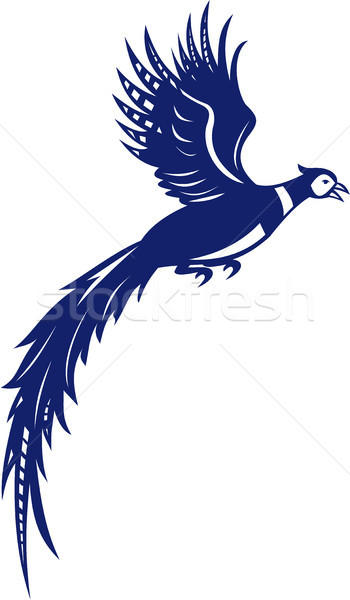 Pheasant Bird Fowl Flying Side Retro Stock photo © patrimonio