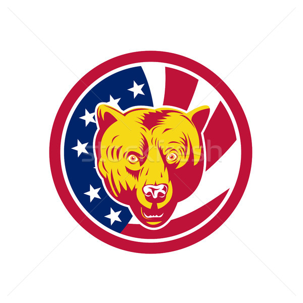 American Brown Bear USA Flag Icon Stock photo © patrimonio