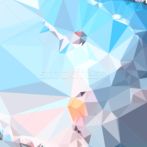 Air Superiority Blue Abstract Low Polygon Background Stock photo © patrimonio