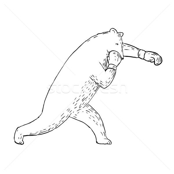 Kodiak Bear Left Straight Punch Drawing Stock photo © patrimonio