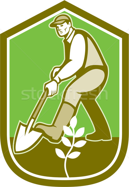 Gardener Landscaper Digging Shovel Cartoon Stock photo © patrimonio
