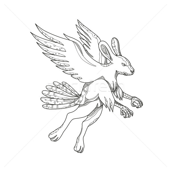 Skvader Flying Doodle Stock photo © patrimonio
