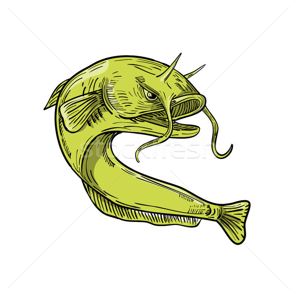 Devil Catfish Jumping Drawing Stock photo © patrimonio