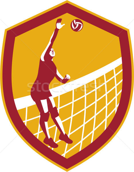 Volleyball Player Spike Ball Net Retro Shield Stock photo © patrimonio