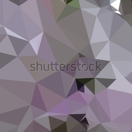 Antique Fuchsia Purple Abstract Low Polygon Background Stock photo © patrimonio