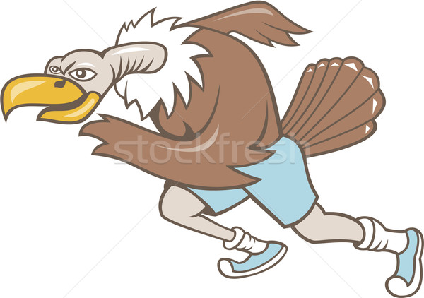 Avvoltoio poiana runner esecuzione cartoon illustrazione Foto d'archivio © patrimonio