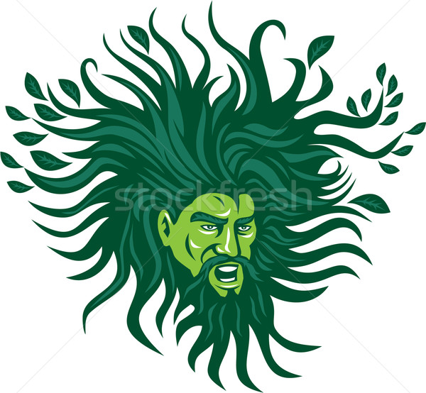 Green Man Head Hair Flowing Leaves Cartoon Stock photo © patrimonio