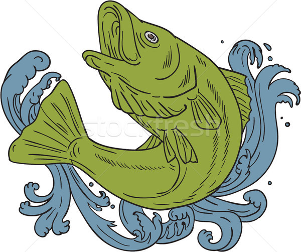 Rockfish Swooping Up Turbulent Waters Drawing Stock photo © patrimonio