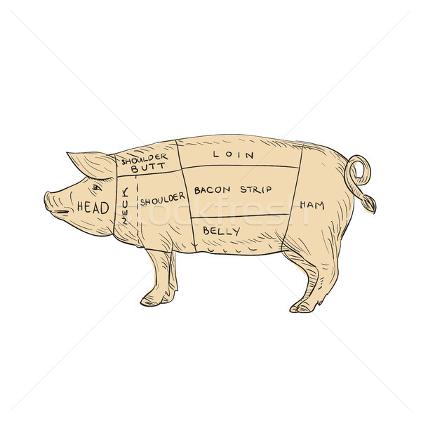 Vintage Pork Meat Cut Map Drawing Stock photo © patrimonio