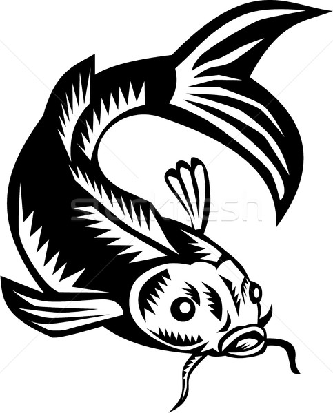 Koi Nishikigoi Carp Fish Woodcut Stock photo © patrimonio