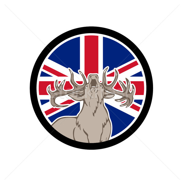 Vermelho veado union jack bandeira ícone estilo retro Foto stock © patrimonio