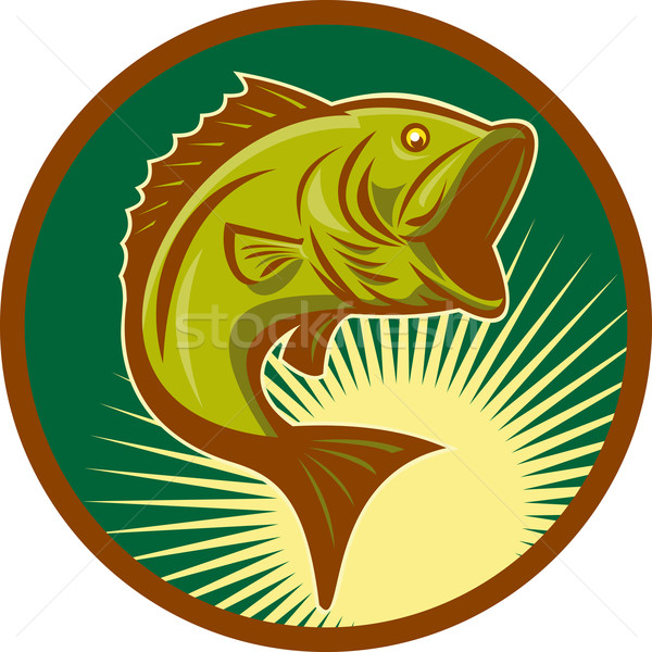 largemouth bass fish jumping Stock photo © patrimonio