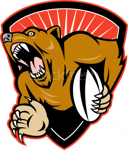Grizzly bear rugby giocatore palla scudo illustrazione Foto d'archivio © patrimonio