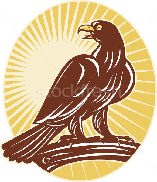 Eagle perching on branch sunburst Stock photo © patrimonio