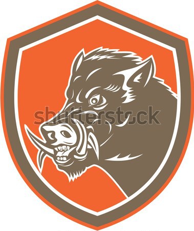 Warthog Head Stock photo © patrimonio
