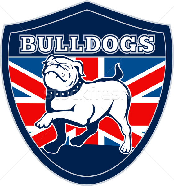 Angielski bulldog brytyjski rugby sports team maskotka Zdjęcia stock © patrimonio
