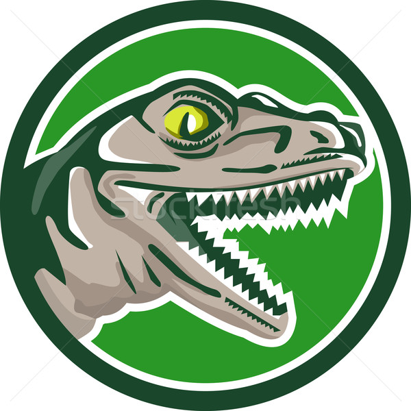 Raptor Head Side Circle Retro Stock photo © patrimonio