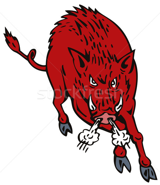 Wild Pig Boar Jumping Stock photo © patrimonio