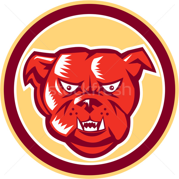 Angry Bulldog Mongrel Head Circle Retro Stock photo © patrimonio
