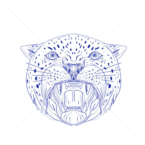 Angry Jaguar Head Drawing Stock photo © patrimonio