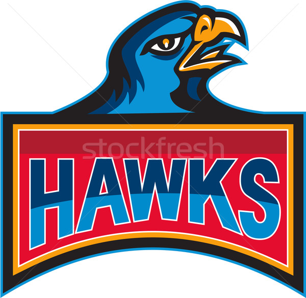 Stock photo: Hawk Head Side Retro