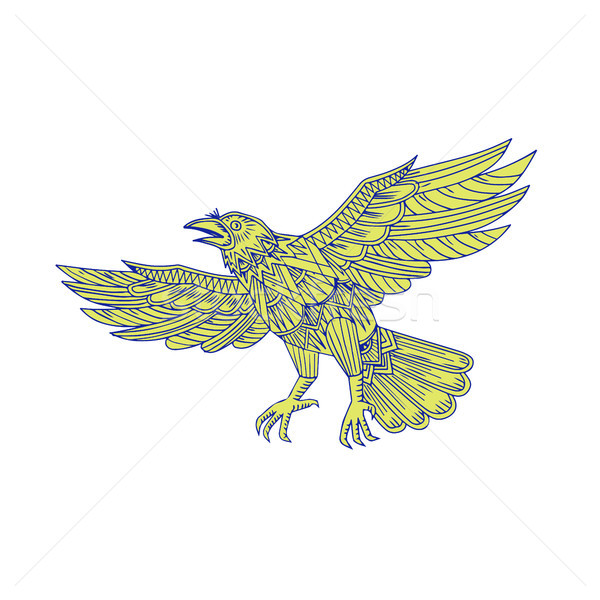 Corb care zboară mandala stil ilustrare mare Imagine de stoc © patrimonio